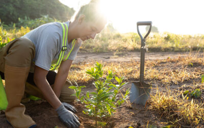 Tips To Prevent Gardening Injuries